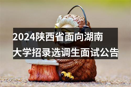 2024陕西省面向湖南大学招录选调生面试公告 图片