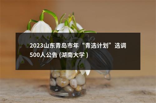 2023山东青岛市年“青选计划”选调500人公告 (湖南大学 ) 图片