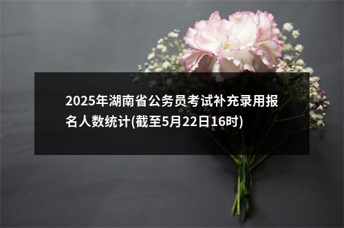 2025年湖南省公务员考试补充录用报名人数统计(截至5月22日16时) 图片