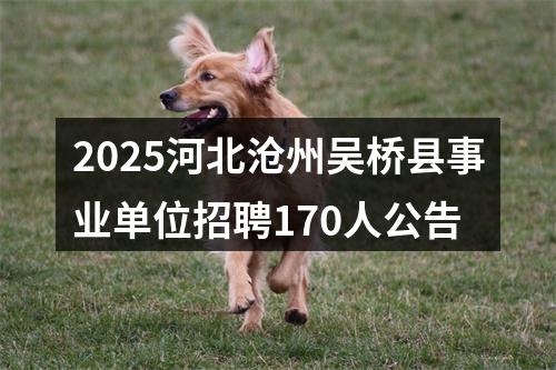2025河北沧州吴桥县事业单位招聘170人公告 图片