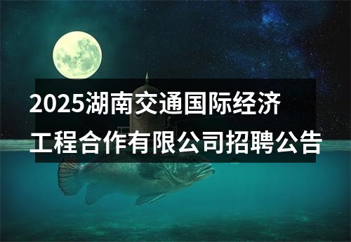 2025湖南交通国际经济工程合作有限公司招聘公告 图片