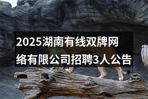 2025湖南有线双牌网络有限公司招聘3人公告 图片