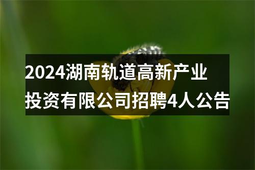 2024湖南轨道高新产业投资有限公司招聘4人公告 图片